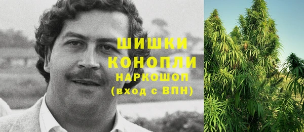 apvp Кинешма