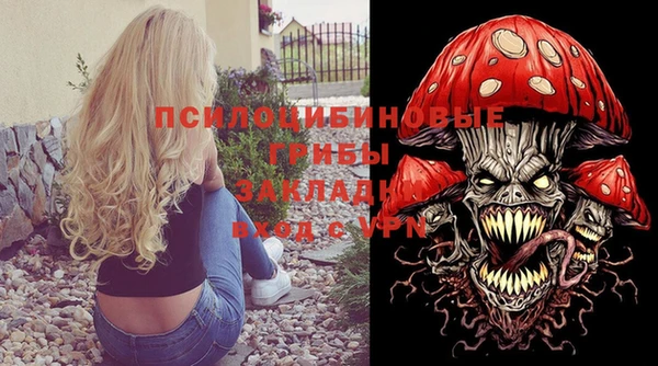 apvp Кинешма